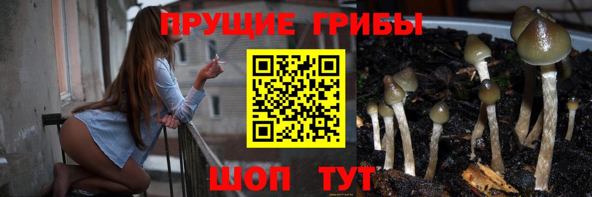 Нижний Новгород  Галлюциногенные грибы прущие грибы  Вход с VPN 